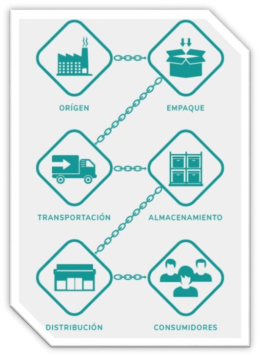 LA IMPORTANCIA DE LA CADENA DE FRIO EN LA CONSERVACIÓN DEL PRODUCTO Y EL PLANETA
